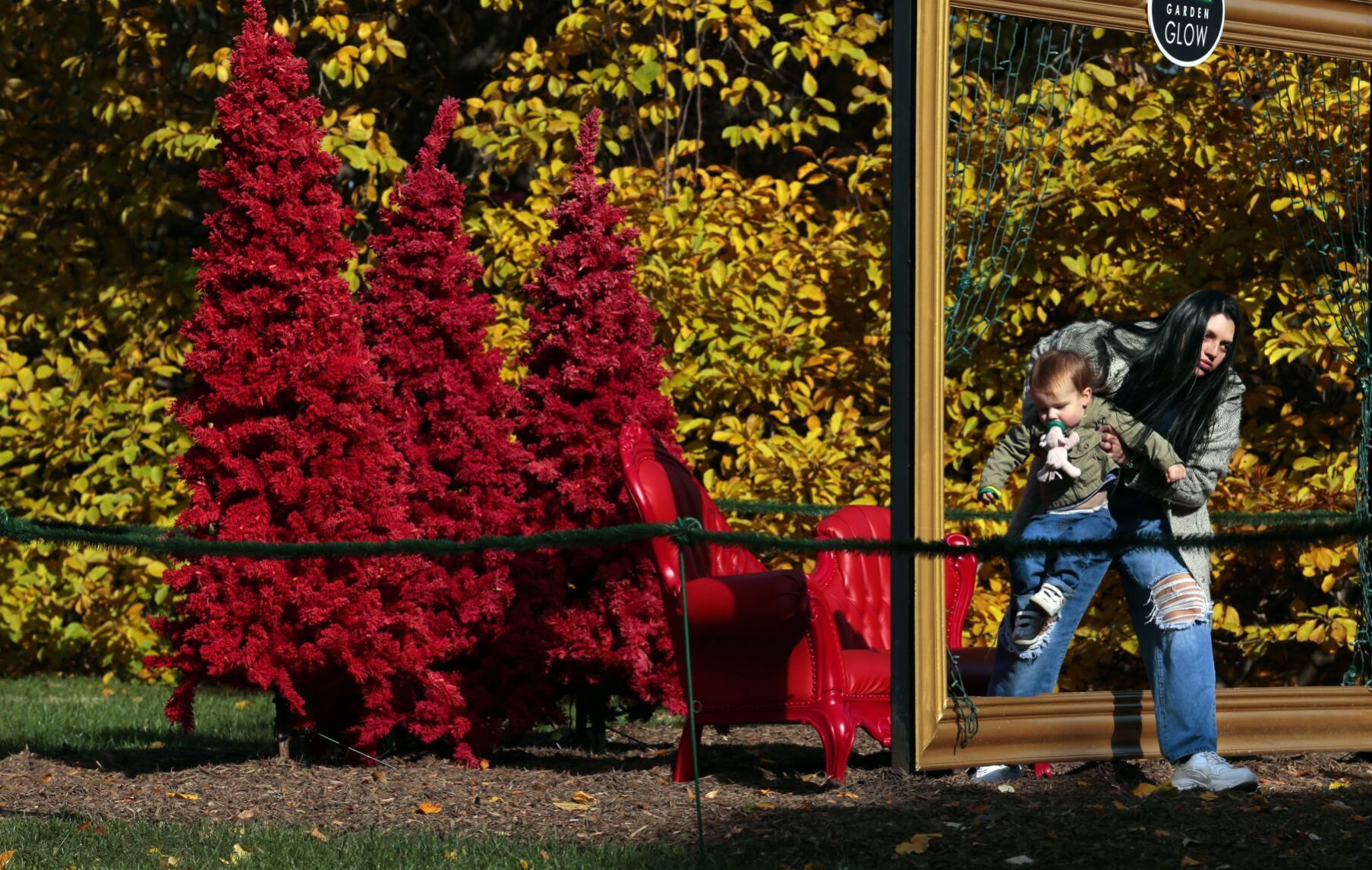 Last gasp of fall color as Garden Glow kicks off at Missouri Botanical Garden